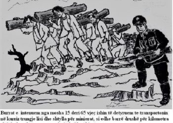 Testimony of Lek Perviz: In Tepelena Camp, Security Officers Seek to Shoot Young Interned Girls