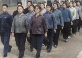 Letra për Enverin: Pandeliu dhe Rexhepi takuan një grua dhe e ftuan të shkojë në kinema, ajo u çudit nga ky guxim, por për të mos prishur miqësinë shqiptaro-kineze, shkoj. Në mes të filmit, e nxorën ….