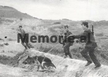 They tried to cross the clone, were sawn by the bullets of the border guards and the border dog that tore it to pieces, the tragic story of the seven Tirana boys in 1989… (Photos)