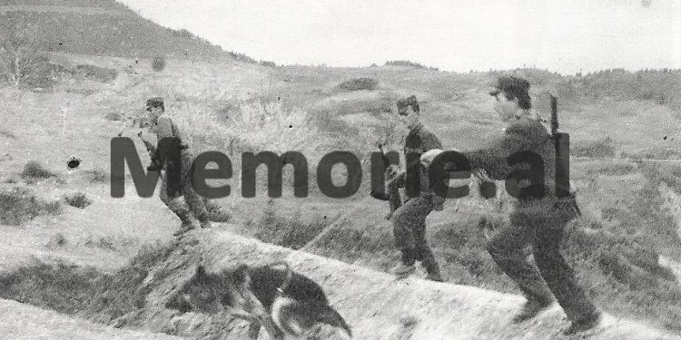 Tentuan të kalonin klonin, u qëlluan nga plumbat e kufitarëve dhe qeni tyre, që i bëri copash, historia tragjike e shtatë djemve tiranas në 1989-ën…