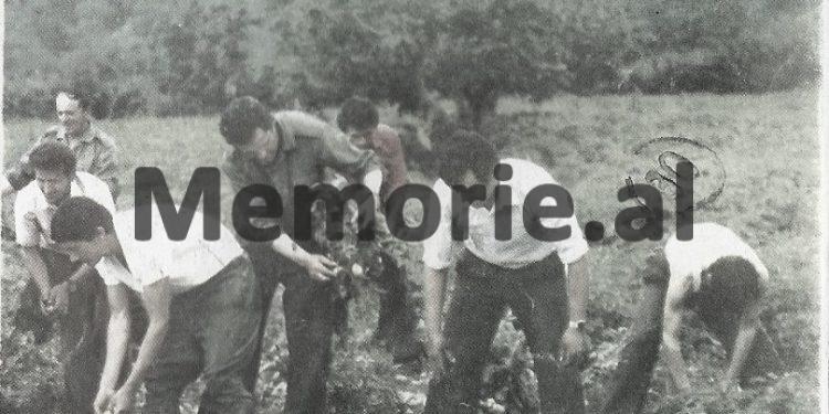 Revista zvicerane: Shqipëria “Kina e vogël e kuqe Europës”, me 25 mijë policë, fëmijët informatorë të Sigurimit, priftërinj fshesaxhinj?!