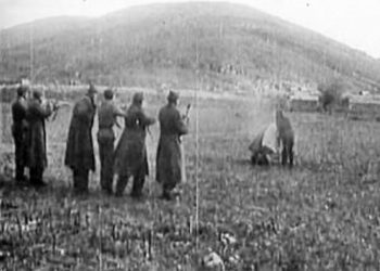 Vrasje dhe pushkatime