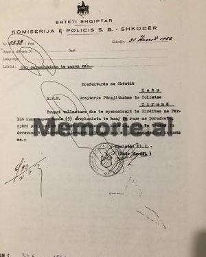 Dokumentet arkivore të Luftës që u mbajtën sekret / Në Shqipëri, 40 avionë të rrëzuar dhe 193 parashutistët anglo-amerikanë të vrarë e kapur rob….