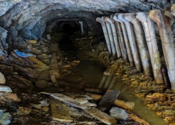 “ Dy policët e Spaçit që na torturuan barbarisht mua dhe Dilaver Hasën më 7 dhjetor ’79-të”/ Letra nga Chicago e të arrtisurit në ’85-ën, për Amnesty International…