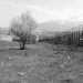 “How we ‘celebrated’ the new year in Burrel prison, with Ngjela, Kurt Kola, Sherif Merdani and…” / Former convict speaks