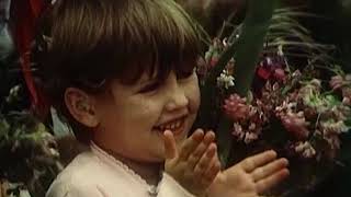 The failed assassination attempt on Ramiz Alia