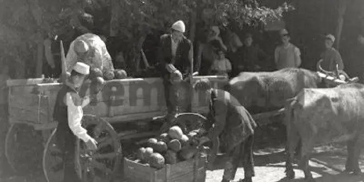 Foto të rralla nga Tirona e komunizmit/ Nga Sheshi “Skënderbej”, Bulevardi “Dëshmorët e Kombit” e Ministritë, “21 Dhjetori”, “Zogu i Zi”, Lana, Kinema “Partizani”, “Pazari ”, këndi sportiv me ringun e boksit, etj.