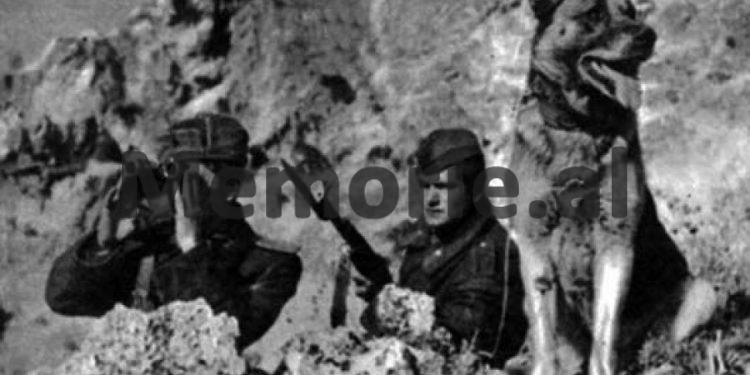 “Me shoqëruesin e Babë Myslymit, do i bënim atentat Enverit në Pezë…”, Deponimi në gjyq i Sulo Klosit, që e lanë tre ditë të varur në litar në mes të Rubikut