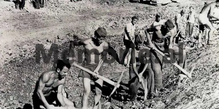 “Në kampin e Vloçishtit ku ishte komandant, vëllai i Rita Markos, vdiqën nga uria apo u vranë nga ushtarët, 73 shokë të burgosur…”/ Dëshmia rrëqethese e ish-të dënuarit që u arratis…