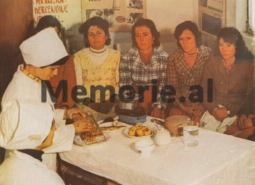 “Shërbimin shëndetësor dhe higjienën”, pas epidemisë së kolerës në Itali dhe kufijtë e Ballkanit…