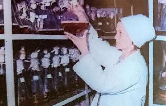 “Shërbimin shëndetësor dhe higjienën”, pas epidemisë së kolerës në Itali dhe kufijtë e Ballkanit…