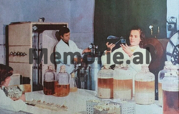 “Shërbimin shëndetësor dhe higjienën”, pas epidemisë së kolerës në Itali dhe kufijtë e Ballkanit…