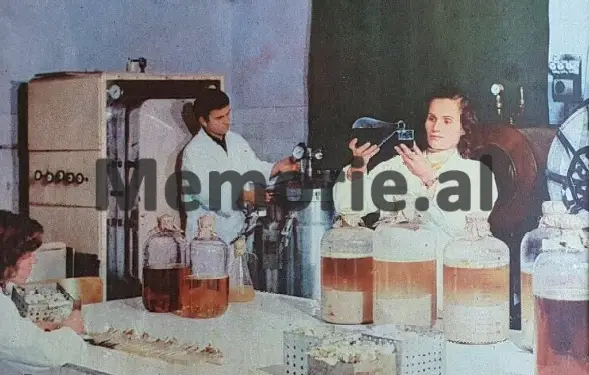 “Shërbimin shëndetësor dhe higjienën”, pas epidemisë së kolerës në Itali dhe kufijtë e Ballkanit…