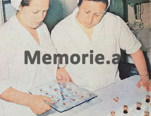 “Shërbimin shëndetësor dhe higjienën”, pas epidemisë së kolerës në Itali dhe kufijtë e Ballkanit…