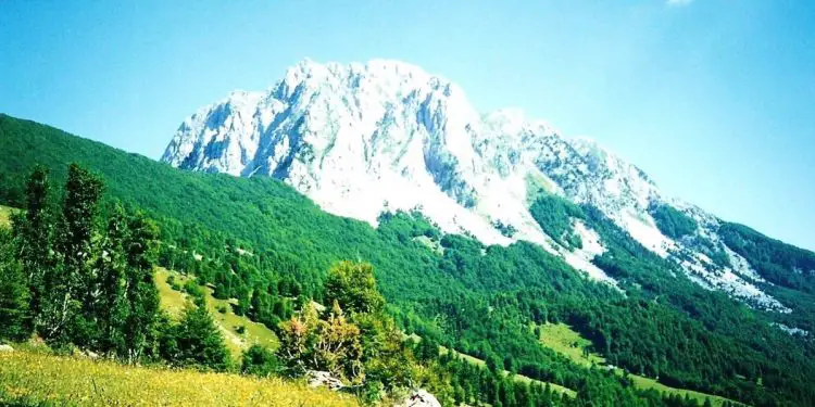 “Si i vrau vëllai im me granata, 15 oficerë të Garnizonit të Përmetit në ’47-ën, për hakmarrje ndaj…”/ Dëshmia e malsorit nga Dukagjini, që ç’varrosi natën eshtrat