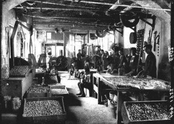 Nga Aleksandri, Kryetari i Dhomës së Tregtisë në 1921-in dhe Konsulli i Japonisë, te Hobdarët e tjerë, të diplomuar në Europë që u burgosën…/Familja që hapi fabrikat e para në Shqipëri në 1914-ën