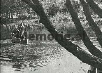 “Si u arratisëm me varkë nga liqeni i Pogradecit, 16-të pjestarët e familjes në korrikun e 1975-ës”/ Dëshmia e ish-deputetit të Parlamentit për aventurën e rrallë që iu kushtoi…