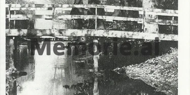 “Si u arratisëm me varkë nga liqeni i Pogradecit, 16-të pjestarët e familjes në korrikun e 1975-ës”/ Dëshmia e ish-deputetit të Parlamentit për aventurën e rrallë që iu kushtoi…