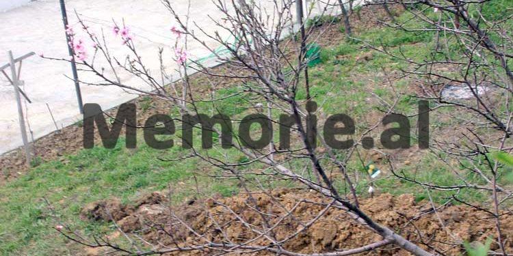 “Letra që babai i dërgoi nënës sime me 12 prill ‘45-së, dy ditë para pushkatimit, ku…”/ Dëshmia e së bijës të ekzekutuarit me Gjyqin Special