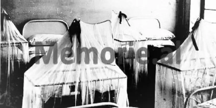 “He treated the soldiers in the epidemic of 1929, opened the first maternity hospital, the only girl who fought on April 7, but was left jobless and”? ” Sister’s testimony