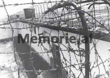 Dëshmia e shokut të qelisë: “Si e mësuam lajmin e vdekjes së Enverit në burgun e Burrelit dhe përse vetëm Dom Simon Jubani s’u gëzua, pasi…”