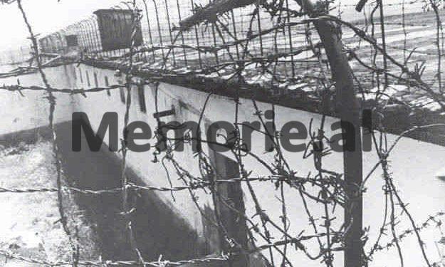 Dëshmia e shokut të qelisë: “Si e mësuam lajmin e vdekjes së Enverit në burgun e Burrelit dhe përse vetëm Dom Simon Jubani s’u gëzua, pasi…”