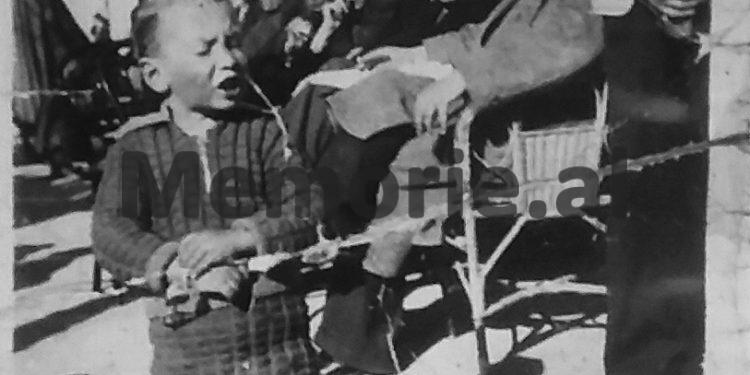 Dëshmia e rrallë e korrierit: “Qemalin e mbajtëm tre vjet në shtëpi, pasi Hasan Stafa, i’a la amanet babës tim, i cili më 6 maj ’42, i tha Enverit: gjakun e atij djali ta kërkoj ty…”