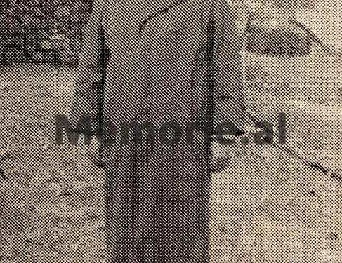 “Gjatë një dreke te familja Mëniku, babai im s’pranoi t’ia jepte Enverit nagantin, që ai i’a kërkoi për kujtim dhe…”/ Dëshmia e nipit të Sejfi Vllamasit