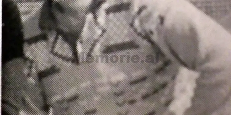“Pasi më kapën ushtarët, një shofer me emrin Foto, më futi një thupër metalike në plagën e plumbit, duke më dëmtuar…”/ Dëshmia e ish-të burgosurit që u arratis