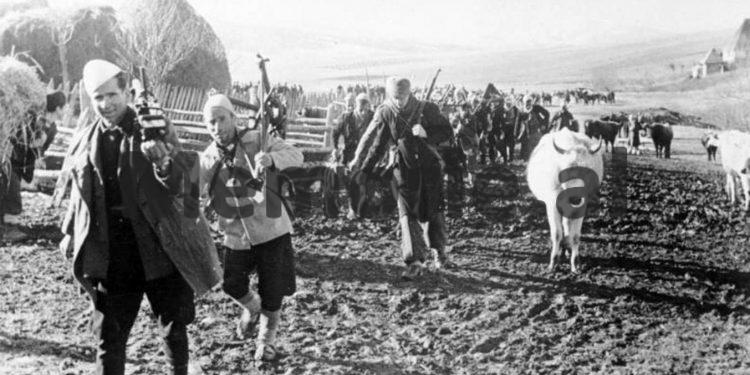 “Në kampin nazist të Zemunit ishim 517 shqiptarë, ku një pjesë vdiqën nga epidemitë, disa bashkëpunonin me gjermanët, si …”/ Rrëfimi i rrallë i ish-të burgosurit