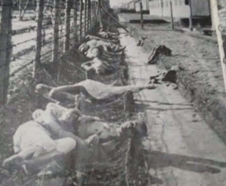 “Në Mauthausen ne sillnim drutë që do digjeshin shokët tanë dhe kur u ktheva në Tiranë, Enver Hoxha më tha: Mos ke qenë spiun i gjermanëve…”?!/ Rrëfimi tronditës i të mbijetuarit