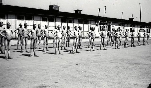 “Në Mauthausen ne sillnim drutë që do digjeshin shokët tanë dhe kur u ktheva në Tiranë, Enver Hoxha më tha: Mos ke qenë spiun i gjermanëve…”?!/ Rrëfimi tronditës i të mbijetuarit