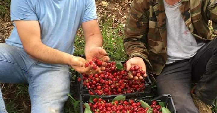 Kurbini, me mrekullitë natyrore që ofron laguna e Patogut dhe malet mbi lumin Mat, agroturizmi e prodhimet bio, një parajsë turistike, sa afër dhe larg Tiranës! (fotot e rralla)