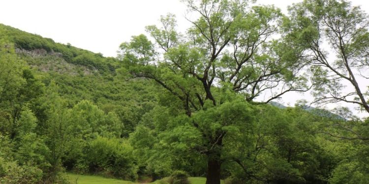Kurbini, me mrekullitë natyrore që ofron laguna e Patogut dhe malet mbi lumin Mat, agroturizmi e prodhimet bio, një parajsë turistike, sa afër dhe larg Tiranës! (fotot e rralla)