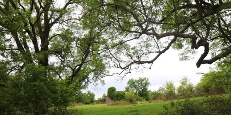 Kurbini, me mrekullitë natyrore që ofron laguna e Patogut dhe malet mbi lumin Mat, agroturizmi e prodhimet bio, një parajsë turistike, sa afër dhe larg Tiranës! (fotot e rralla)
