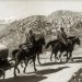 “My grandfather, the richest man in Kolonje, helped Petro Nini for Albanian schools and was thanked by Abdyl Frashëri, but the communists burned us and…”  Tragic story…