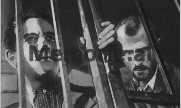 Nga studentët që mësonin në Perëndim, te KONARE-ja që financoi 20 të rinj në universitetet e Bashkimit Sovjetik/ Historia e panjohur se si hynë idetë komuniste në Shqipëri