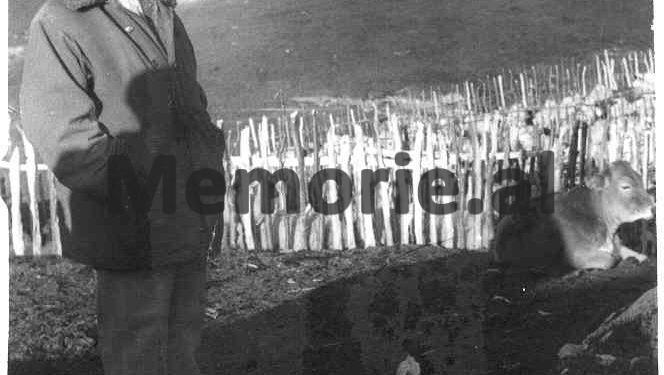 Ramizi në Byro: “Sigurimi në gjumë në ikjen e 9 vetave, por në esfelt shkofshin këta dhe 90 si këta! Me vagabondët s’mbahet Shqipëria…”/ Analiza e arratisjes së “Dukati”-t