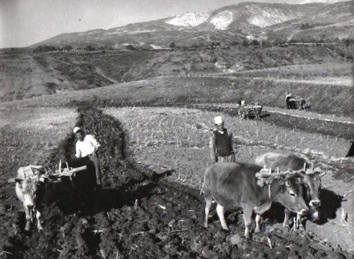 “Ka përkrahur Abaz Kupin, kundërshton reformat e pushtetit popullor, dallaveraxhi dhe…”/ Zbulohet dokumenti me karakteristikat e 24 kulakëve të Krujës e Kurbinit