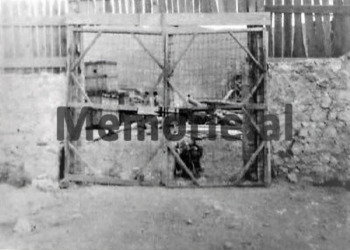 Letra për Mehmet Shehun: “Në kampin e Laçit, trupin e të vrarit që u arratis, e lanë 24 orë në oborr te këmbët e të burgosurve dhe…”/ Denoncimi i Bedri Spahiut nga burgu