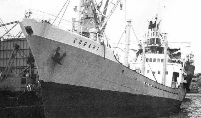 Arratisja e bujshme e ’89-s: “Dilni ju çuna shikoni Evropë me sy, në Brindisi do shohim televizor pa antenë dhe…”/ Raporti sekret për Ramiz Alinë
