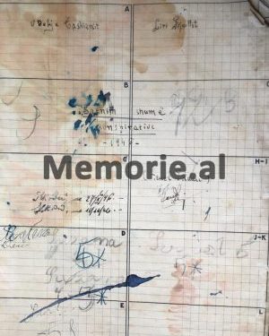 “Sigurimi më tha se ‘Zeneli vrau veten me 7 plumba’ dhe kur shkoja në varreza e gjeja…” Dëshmia e bashkëshortes e “Lulit të vocërr” të Migjenit