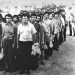 Historia e panjohur e Kurbinit / Nga periudha e Arbërit, në ditët e sotme, me doket, zakonet, traditat, kultura etj., dhe harmonia ndërfetare e popullsisë heterogjene të saj