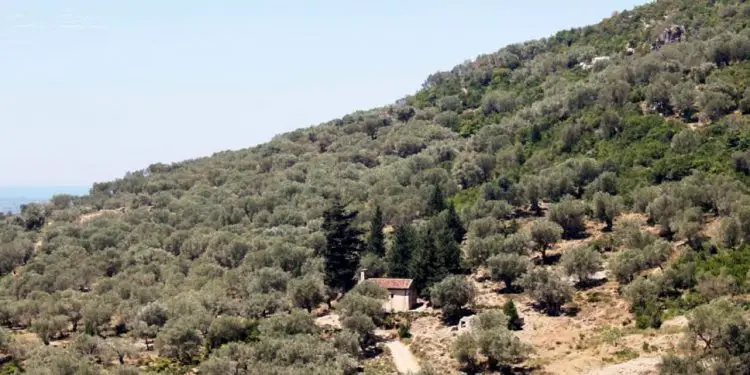 Historia e panjohur e Kurbinit / Nga periudha e Arbërit, në ditët e sotme, me doket, zakonet, traditat, kultura etj., dhe harmonia ndërfetare e popullsisë heterogjene të saj