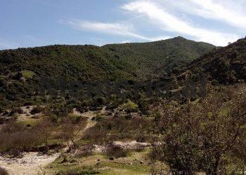 “Here are the Security people who arrested me in my village, Markat, and sent me to the Saranda Interior Branch, where”. Testimony from the USA of the fugitive in ’85