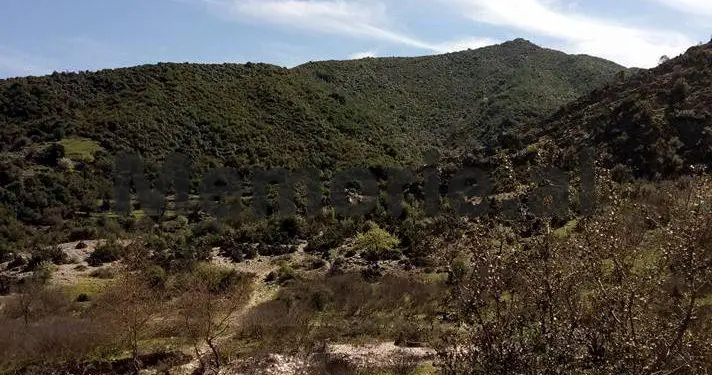 “Ja njerzit e Sigurimit që më arrestuan në fshatin tim, Markat dhe më dërguan në Degën e Brendshme të Sarandës, ku….”/ Dëshmia nga SHBA-ve e të arratisurit në ’85-ën