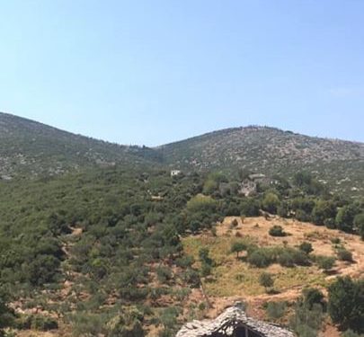 “Si e kalova kufirin i uritur dhe i zhuritur nga etja, këmbëzbathur dhe i veshur me zhele, ku një prift më gjeti gjysmë të vdekur…”/ Dëshmia e rrallë e të arratisurit në ’85-ën
