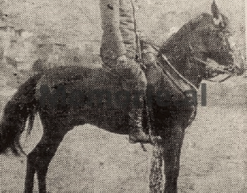 “Pas Akademisë në Torino, luftova si toger i ushtrisë pushtuese në Shqipëri, ku ndihmova komunistët, të cilët më burgosën 8 vjet dhe…”/ Dëshmia e ish-oficerit në tre regjime