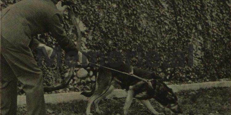 “Në ’63-in kalova kufirin ilegalisht dhe kur më pyeti majori në Degën e Brendshme në ‘Bajram Curri’, i thashë…”/ Historia e dhimbshme e ish-deputetit e diplomatit