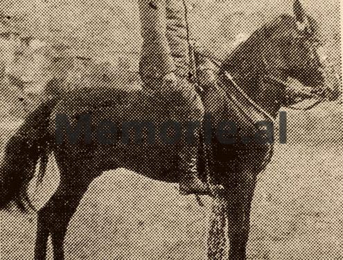 “After the Academy in Turin, I fought as a lieutenant of the occupying army in Albania, where I helped the communists, who imprisoned me for 8 years and…” / Testimony of the former officer in three regimes